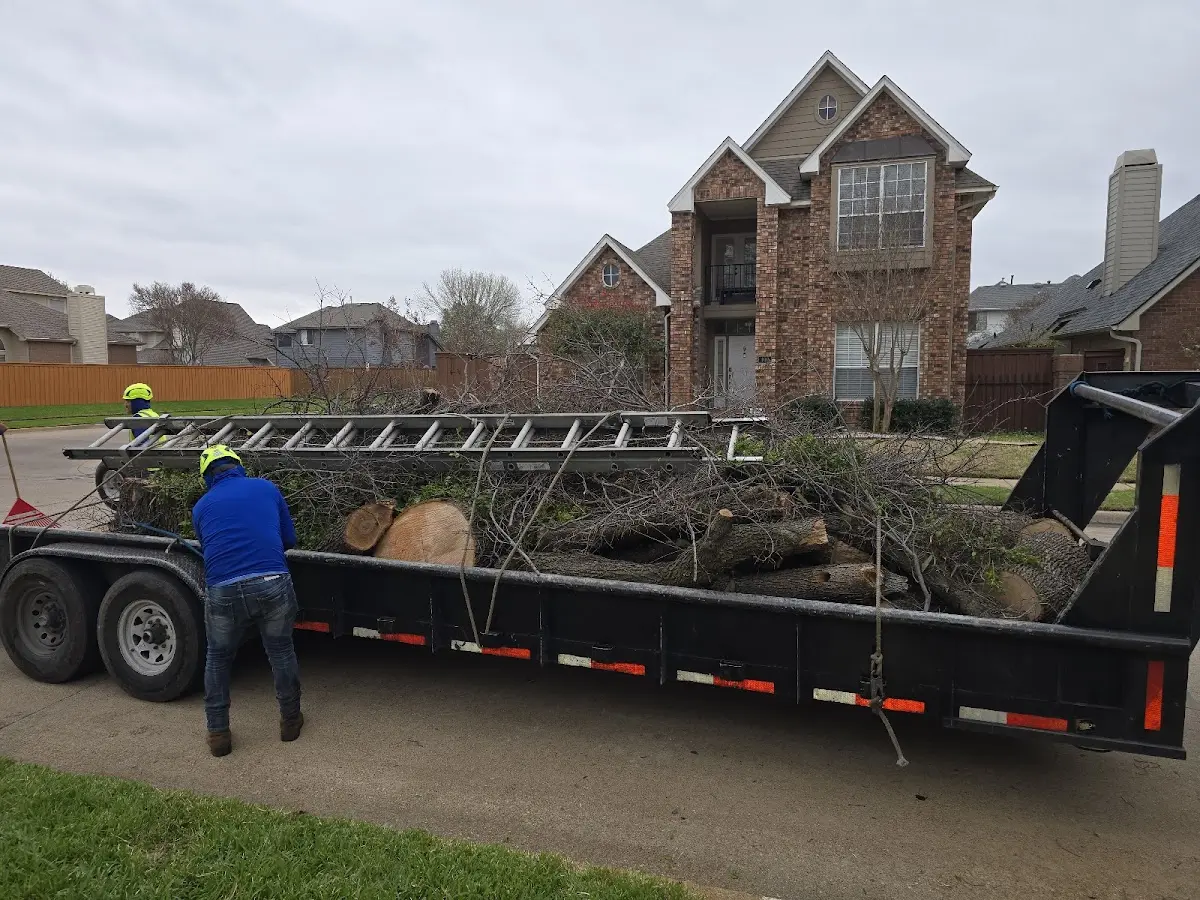 Expert Tree Removal with proper safety equipment in Fairchance